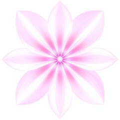 Fototapeta premium Soft pink flower with eight elongated petals radiating symmetrically from a glowing center, featuring delicate gradients and subtle striped texture