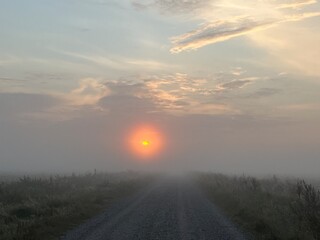 Fototapeta premium sunrise in the fog over the road a misty morning