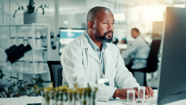 Scientist, lab and man on computer with plant sample for medical research, vaccine report and medicine. Healthcare, pharmaceutical and person on tech for study, medicinal analysis and digital results