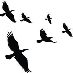 Black vector silhouettes of flying birds set against nature illustrate wild animal wings in flight, symbolizing freedom