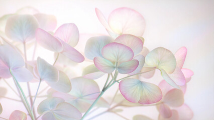 Fototapeta premium Delicate Floral Design in Soft Pastel Colors