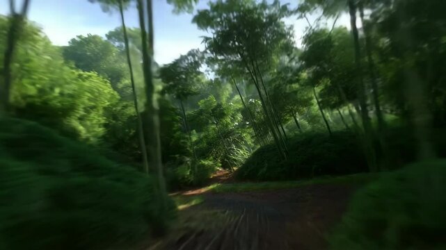 Sleek bamboo train gliding rapidly through luminous forest, highlighting sustainable transportation technology within lush green landscape