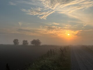 sunrise over the field a misty morning