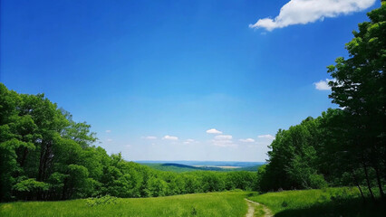 Sunny Pathway Through Lush Green Hills