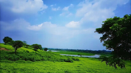 Sunny Pathway Through Lush Green Hills