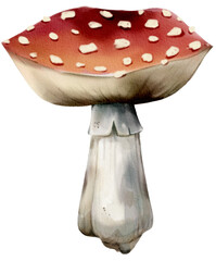 vibrant red mushroom with white spots, showcasing nature beauty