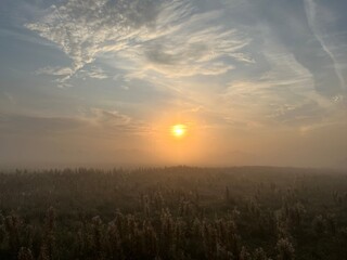 sunrise over the field a misty morning