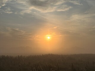 Fototapeta premium sunrise over the field a misty morning
