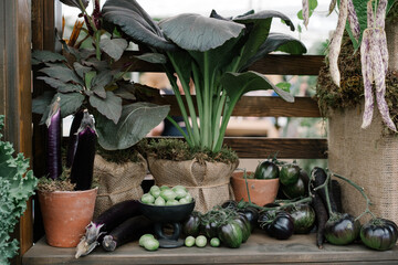 fresh vegetables in a basket on the market, Aesthetic decoration and healthy food	