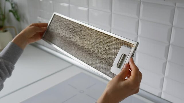 Grease filter rarely cleaned or quickly clogged from frequent oil frying. Health risks of fried food, poor maintenance, reduced airflow, basic filtration function, protect internal parts from dirt fat