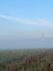 wind turbines in the fog