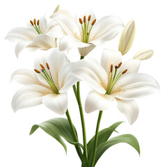 Fototapeta premium Delicious iced latte coffee drink in glasses with ice png iced coffee png cold latte png coffee beverage png refreshing drink png coffee glass png transparent background image