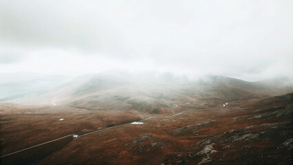 Trendy Abstract Backgrounds: Minimal Floral Designs for Creatives