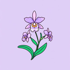 2D illustration of Orchid