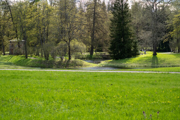 Green grass and trees