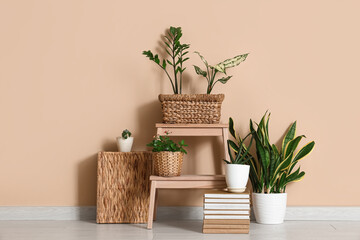 Step stool and wicker baskets with plants near beige wall in room