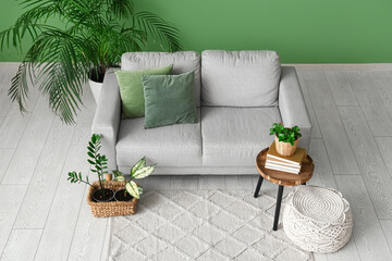 Interior of living room with sofa, table and green plants, top view