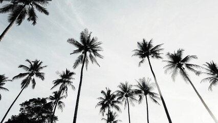 Trendy Abstract Backgrounds: Minimal Floral Designs for Creatives