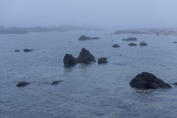 Misty Coastal Rock Formations