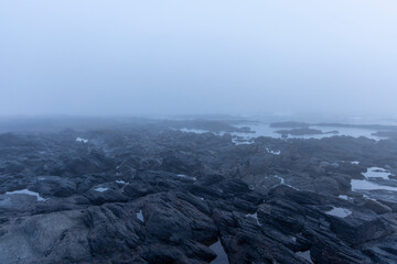 Misty Coastal Rockscape