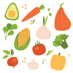 vegetables vector on white background