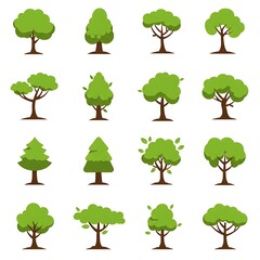 Fototapeta premium Verdant Iconography: A Sylvan Collection