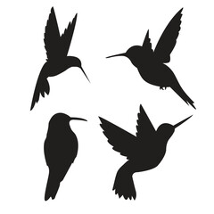 Sets of Birds Vector File.