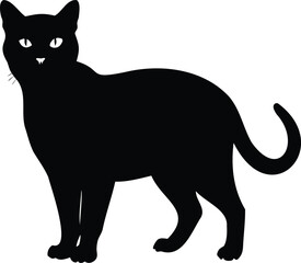 Silhouette of a sleek black cat standing alert, mysterious feline presence