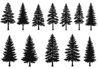 Obraz premium Evergreen Elegance: A Collection of Silhouette Trees