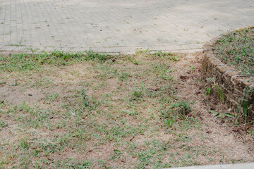 Grassy Edge with Soil and Sand in Park