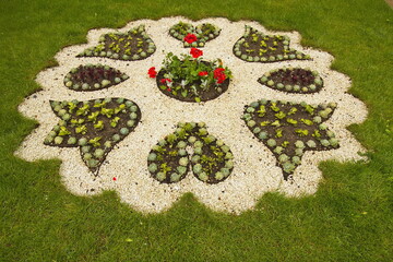 Flower bed with houseleek in castle garden in Lysice in Blansko District, South Moravian Region,...