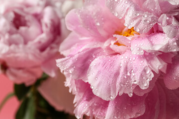Beautiful peony flowers on beige background, closeup