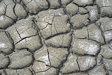 Dry earth texture with clay and sand close up. Dry and cracked earth. Dry weather.