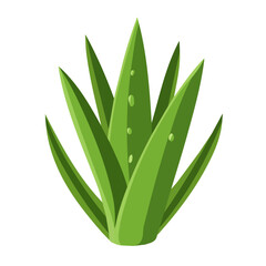 My Simple flat 2D icon aloe vera isolated on transparent background, vector, flat design, animation design, vector, flat design, animation design, simple flat 2D icon, minimalist design