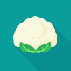 My Simple flat 2D icon whole cauliflower isolated on transparent background, vector, flat design, animation design, vector, flat design, animation design, simple flat 2D icon, minimalist design
