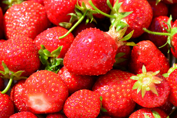 Close-up of fresh ripe strawberries in a vibrant pile