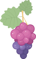 Grapes fruit clipart design illustration