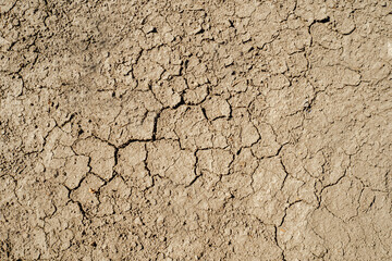 Cracked earth texture. Close-up. Drought, ecological disaster