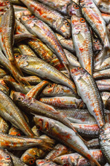 Fresh red mullet fish at Istanbul market, Turkey
