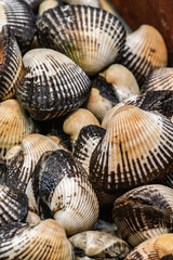 Fresh mussels in Karakoy seafood market stall, Istanbul, Turkey