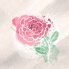 Blooming watercolor delicate rose on a textured beige background, hand-drawn illustration. Sticker, postcard, sketch, watercolor flower, rose