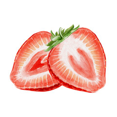 Strawberry watercolor illustration