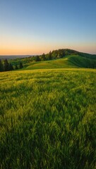 Fototapeta premium Serene sunset over rolling green hills and lush field
