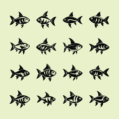 Congo Tetra, aquarium fish vector art illustration