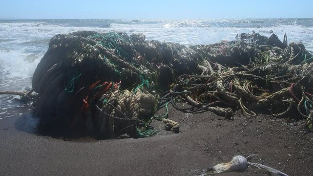 A fishing trawl was washed up by a storm on the coast of the Sea of Japan.Pollution of the sea and the seashore