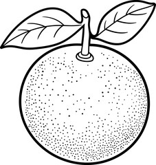Orange fruit lineart black clipart design illustration