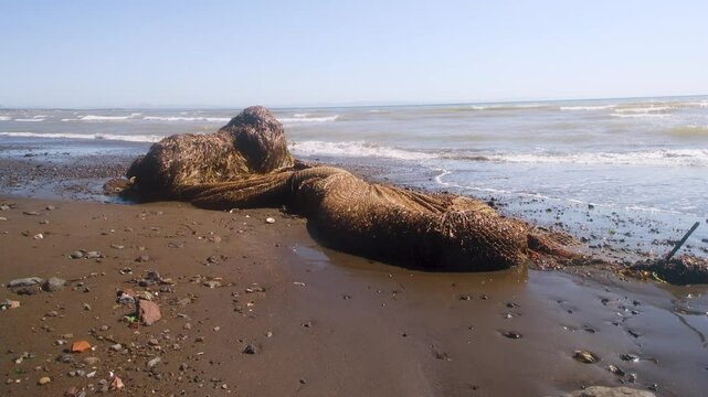 A fishing trawl was washed up by a storm on the coast of the Sea of Japan.Pollution of the sea and the seashore