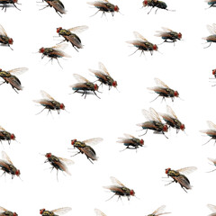 flies pattern eps © Rossukhon