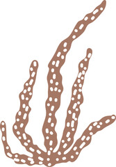 Artistic silhouette of laminaria. Hand drawn vector edible seaweed printing for restaurant business. Decorative print with kelp isolated on white background. Brown algae vector logo. Healthy food art