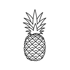Fototapeta premium Simple line drawing of a delicious pineapple